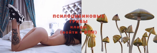 mix Медногорск