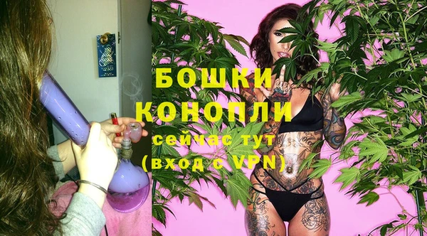 молекула духа Мегион