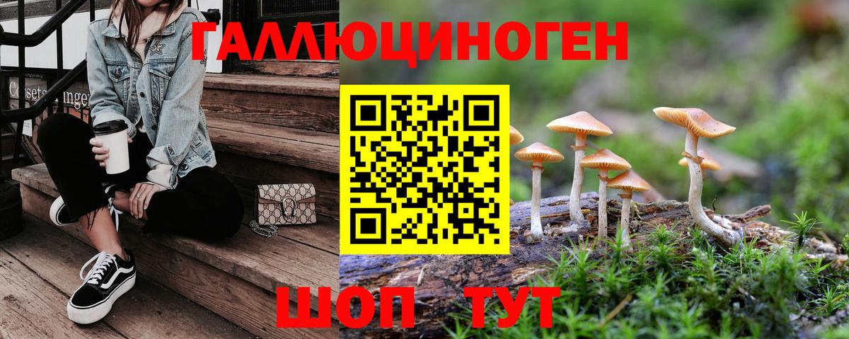 Галлюциногенные грибы прущие грибы Фурманов