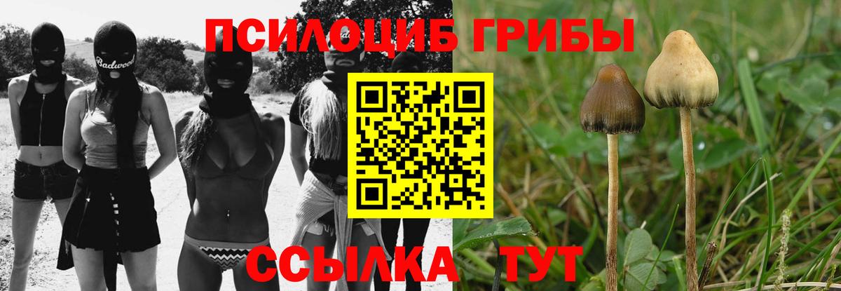 Псилоцибиновые грибы MAGIC MUSHROOMS  Фурманов 