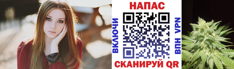 цена Фурманов Каннабис Bruce Banner